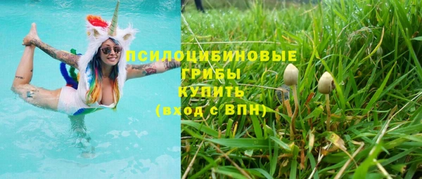 ПСИЛОЦИБИНОВЫЕ ГРИБЫ Алексин