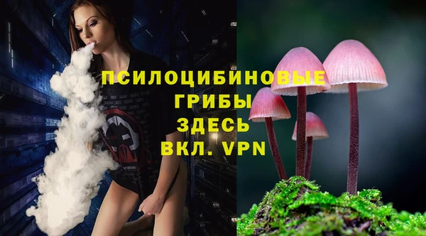 ПСИЛОЦИБИНОВЫЕ ГРИБЫ Алексин