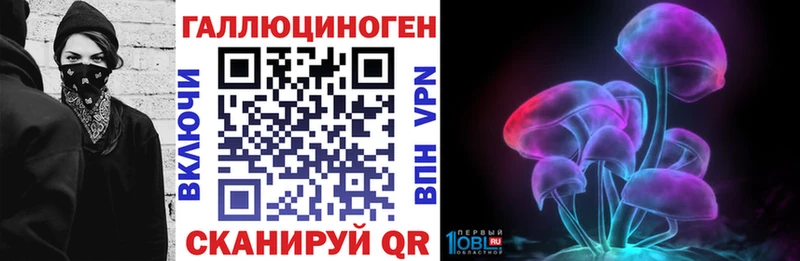 дарк нет как зайти mega как войти Оленегорск Галлюциногенные грибы мухоморы